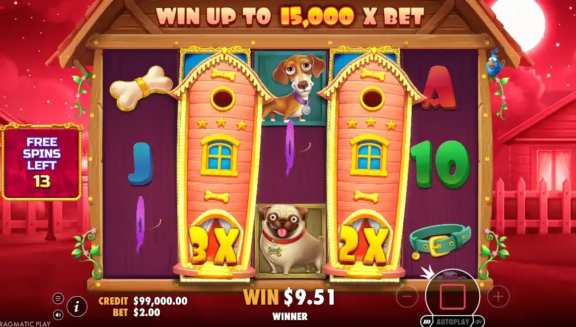 For Maximum Features and Win Ceiling: The Big Dog House