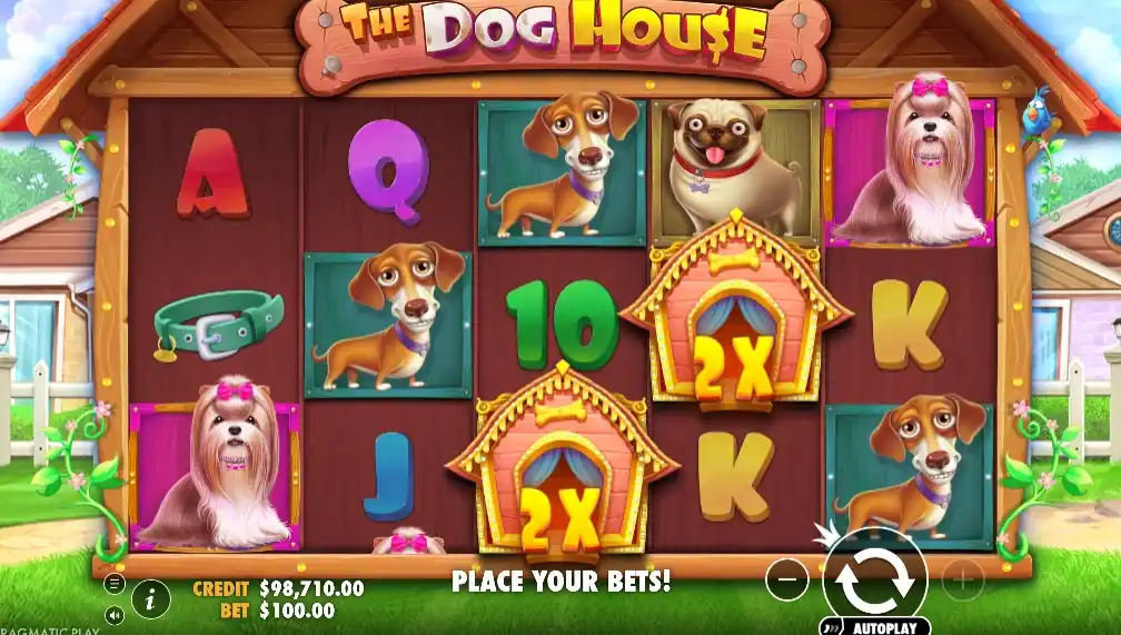 RTP, Volatilità e Vincita Massima della Slot The Dog House